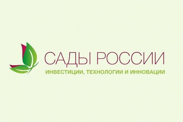 Кракен зеркало onion