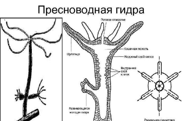 Кракен маркет даркнет слушать